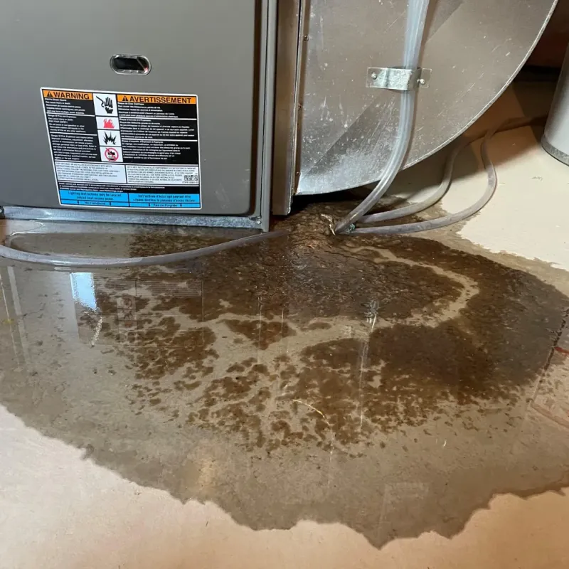 Appliance Leak Cleanup in Chandler, IN