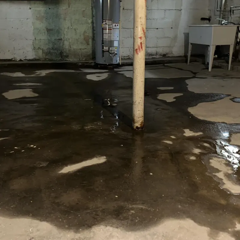 Emergency Water Extraction And Removal in Chandler, IN